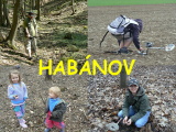 Habánov-hlášení