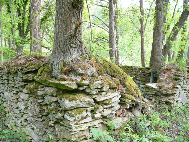 Pozvání do Ostružné v Jeseníkách