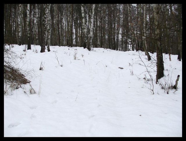 Ledovo/sněhová výprava