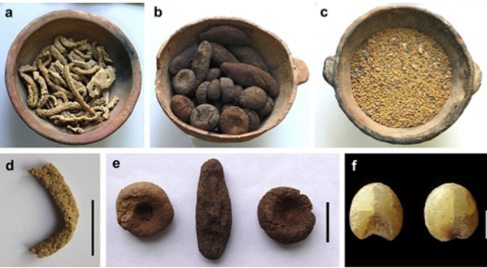 Archeologie v Číně