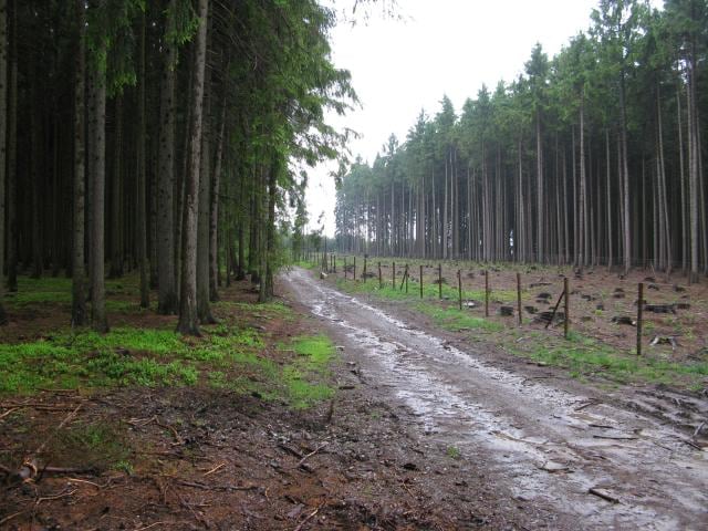 Lovci historie - soutěž pro všechny hledače s detektory kovů