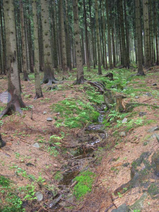 Lovci historie - soutěž pro všechny hledače s detektory kovů