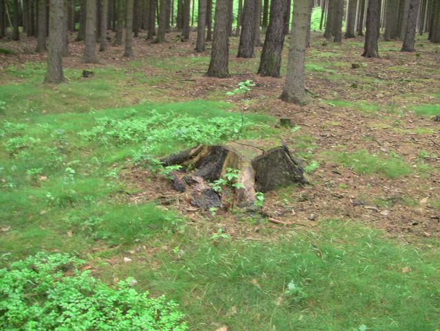 Lovci historie - soutěž pro všechny hledače s detektory kovů