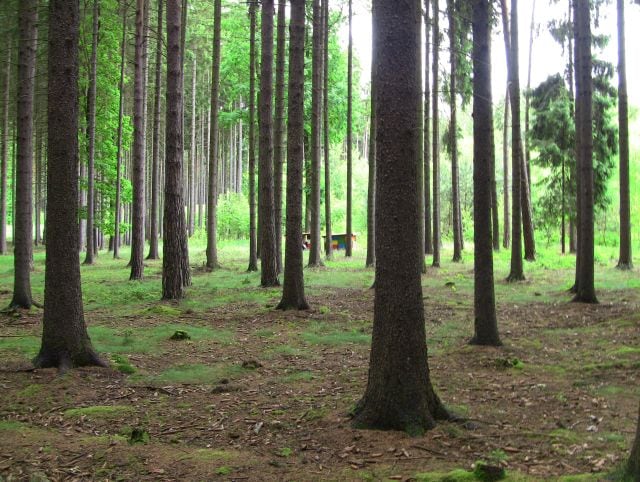 Lovci historie - soutěž pro všechny hledače s detektory kovů