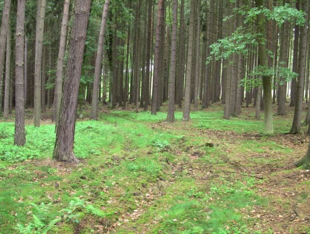 Lovci historie - soutěž pro všechny hledače s detektory kovů