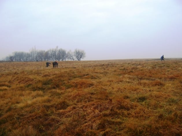 sdetektory na horských loukách