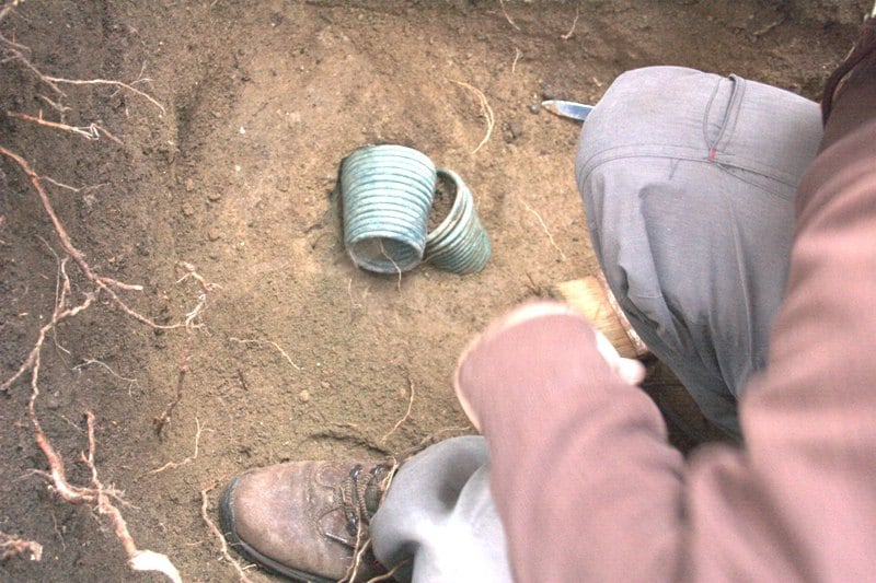 Archeo LP 2010 a Boršovský hled na záchranném výzkumu