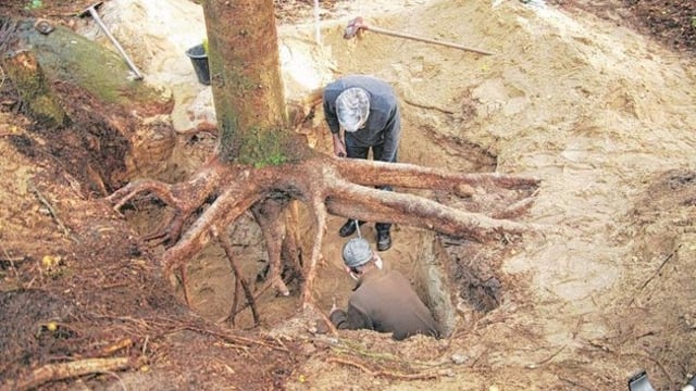 Detektorem kovu našel nacistický poklad