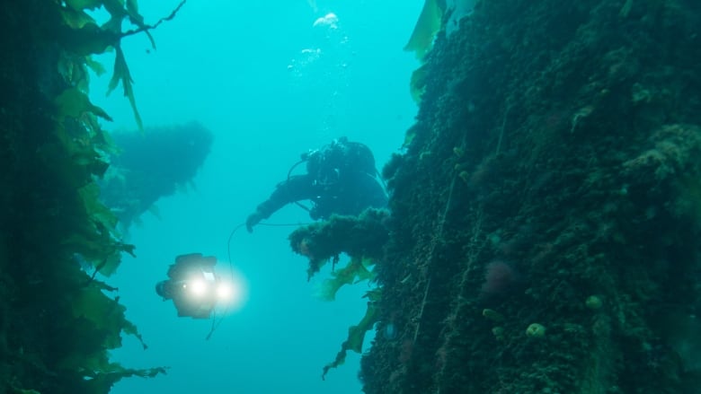 Legendární vrak HMS Terror