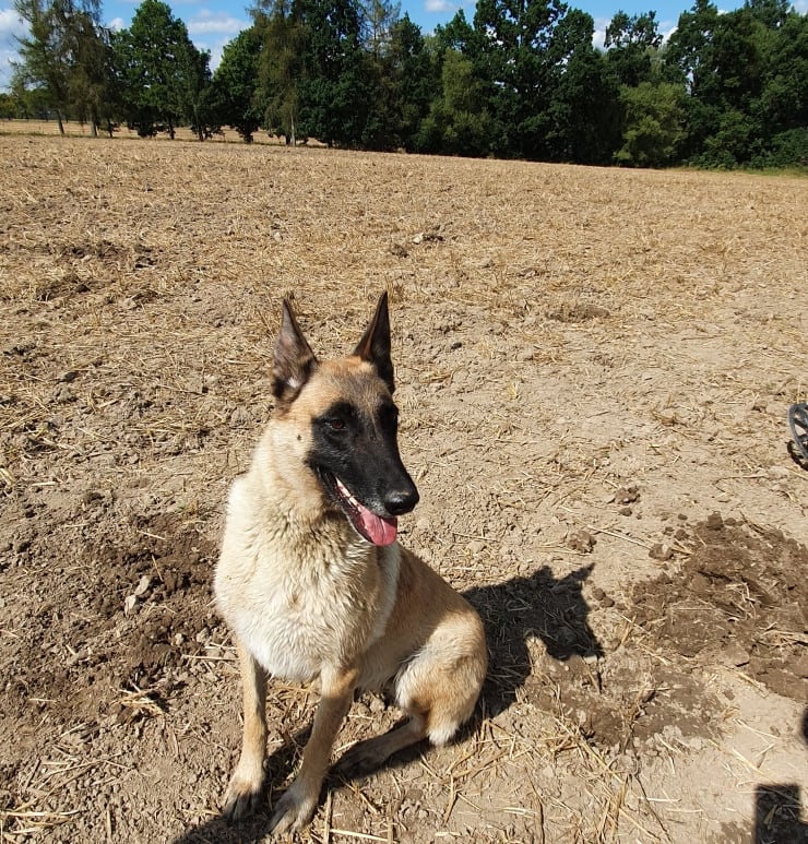 Depot der weiblichen Fanny