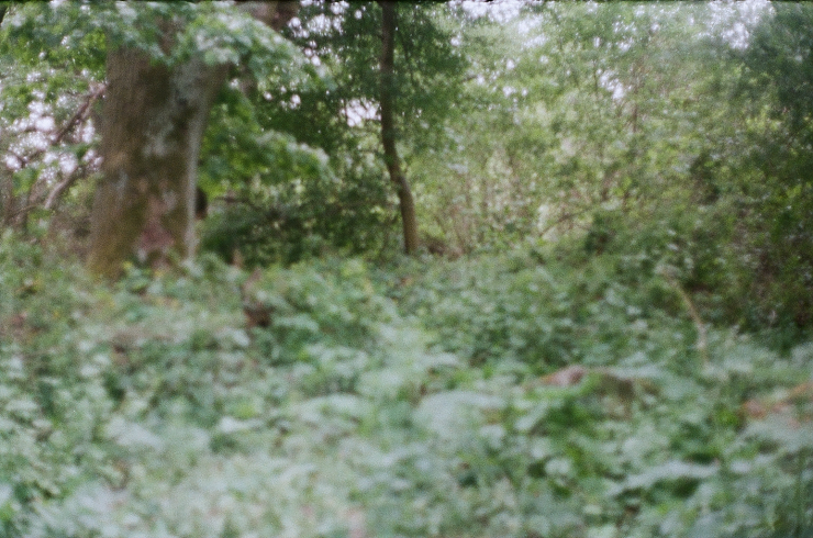 Aufruf zur Fahndung in Litoměřice - Wenn ich jemals meine Augen verliere