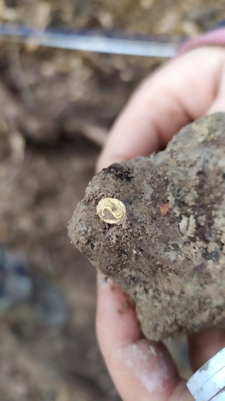 Celtic treasure of twelve gold coins found by metal detector