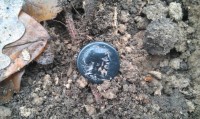 M. Fannius C.f. (123 B.C.) Denarius (Denár)