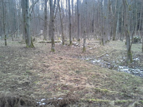 Dnes jsem vyrazil po dlouhé době na lov do zanikle vesnice. krasny stary cesty, misto kde stavalo tvrziště a kus kámene s ornamenty. Nevim jestli to udelala pří