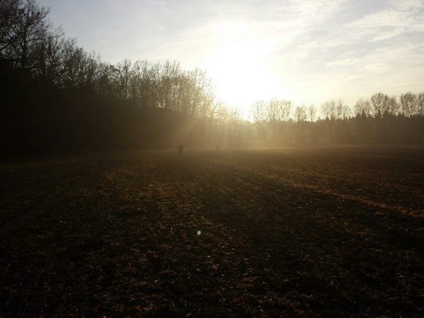 Z dnešní hledačky. Počasí bylo výborné i nějaké to AGčko padlo, ale to až po vyčištění.