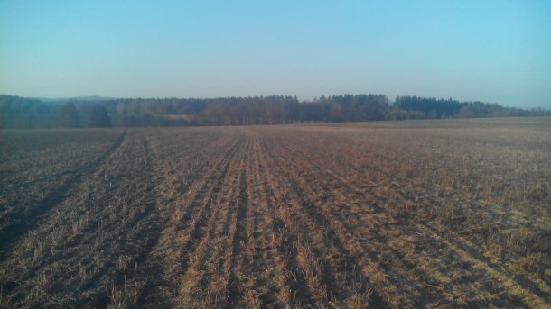 ...právě s pole...ták a konečně jsem vytáhl paty...12st C sluníčko krása...byl jsem od 15:30 do 18:15 a tohle políčko asi 2 km od baráku jsem ještě nechodil asi