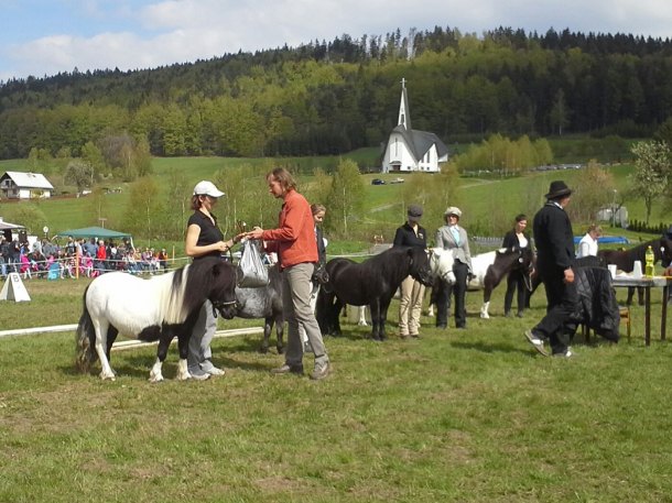 Tak žena měla zlato mezi Schetland pony a ja aspoň pár měďáků a niklak nad tí kostelikem jsem na hodinku utek