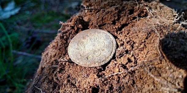 Dneska zajímavý knoflík, skoro váhám, jestli není náhodou stříbrnej.