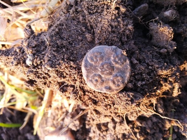 Nalezeno na poli, hloubka 20cm, váha 8g průměr 2cm, tloušťka 2 mm. 