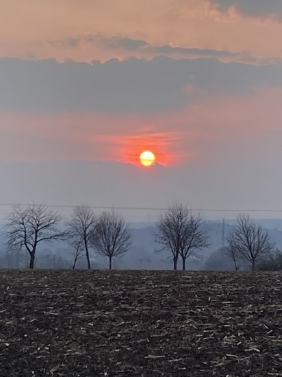 Jak posílal Micros82, tak jsem si taky jednu pořídil, ale koncem března. Asi jako každej…a že má smysl se po tom poli ploužit. 👍🤣