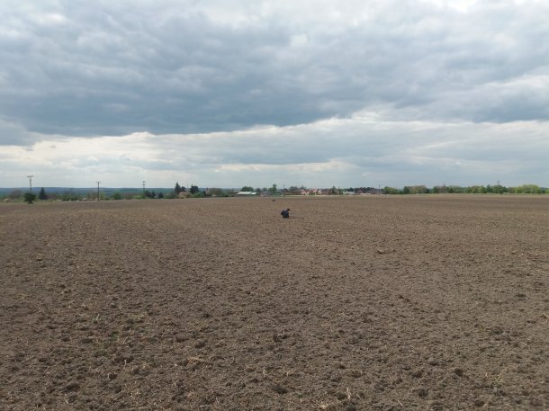 Mobilní příspěvek od loner