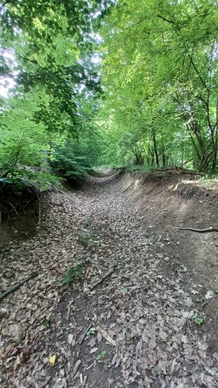 Pohoda, klídek...tak sem to šel zkontrolovat a fakt rostou. Dnes je krásně a byl by hřích se nejít vyvětrat.(teď se už ale těším na Radka12, bo sem si udělal ve