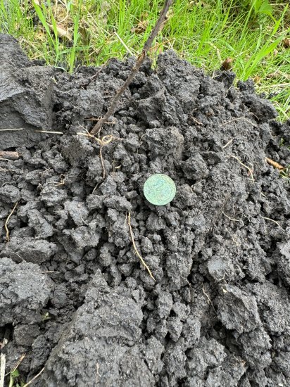 Tak dalsi vychazka s Vanquishem 340 a neco malo se zazelenalo! 🌱
Zkousim chodit all-metal a kopat jenom ciste nebo temer ciste signaly… stale mi pada dost borde