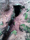 Superstudánka