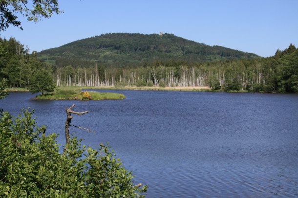 Hrad Přimda