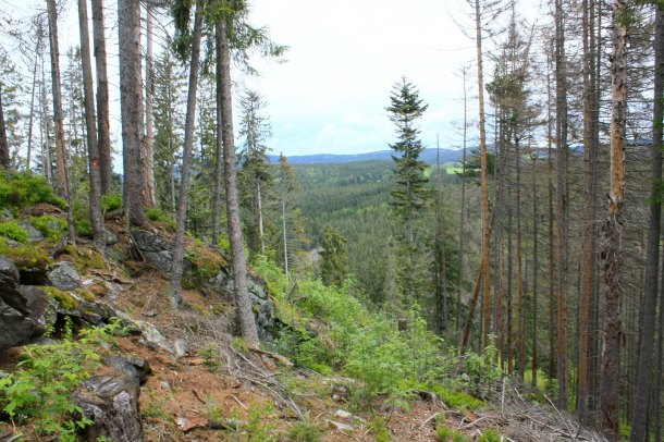 Kelti na Šumavě - Obří hrad