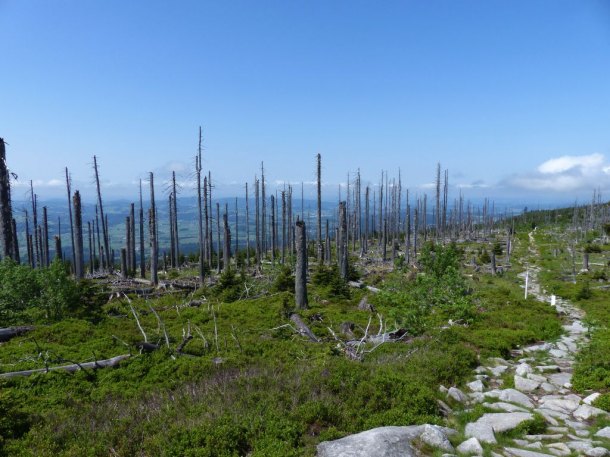 Plechý- Trojmezí