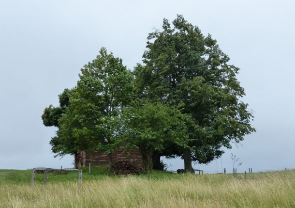 Laudonova kaplička.