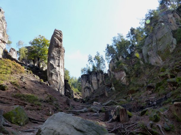 Prachovské skály a kůrovec.