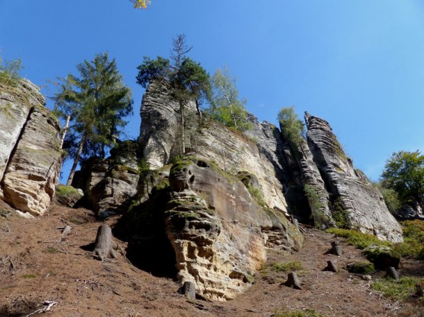 Prachovské skály a kůrovec.