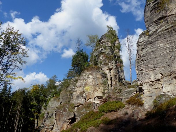 Prachovské skály a kůrovec.