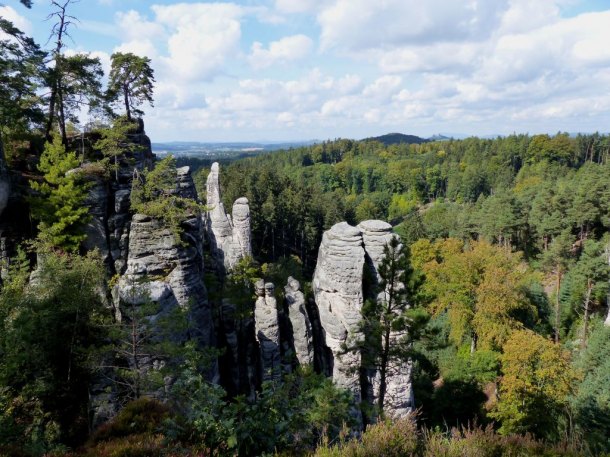 Prachovské skály a kůrovec.