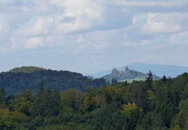 Prachovské skály a kůrovec.