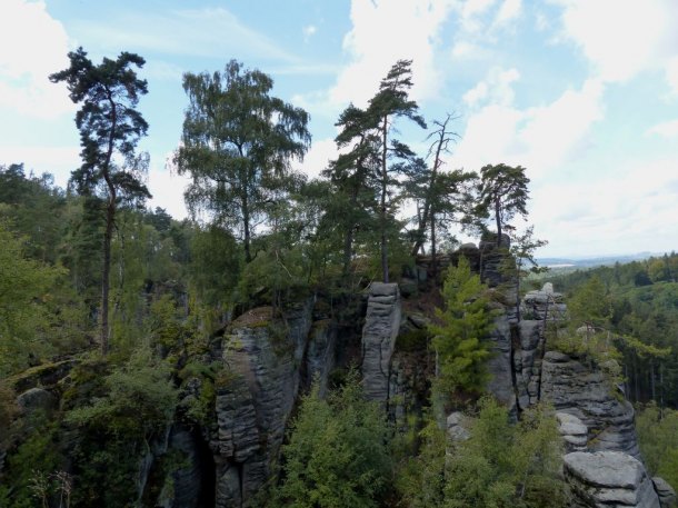 Prachovské skály a kůrovec.