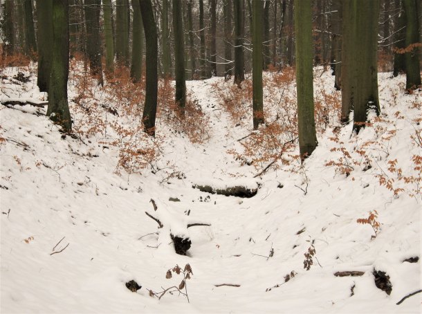 Polykulturní hradiště Staré zámky u Doubravčic