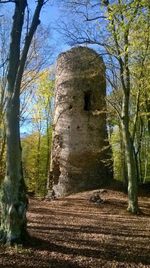 Chřenovický hrad