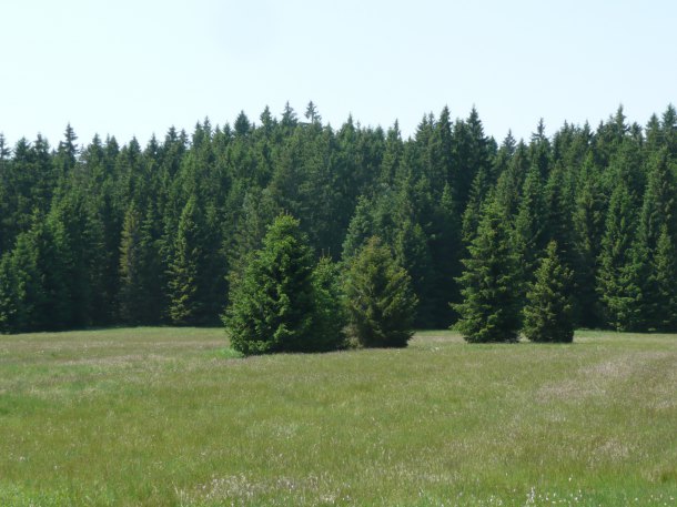 Pohoří na Šumavě.Naše Kanada.