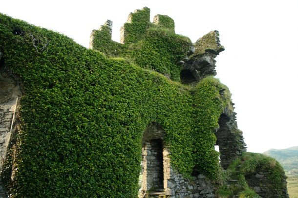 Ballycarbery Castle