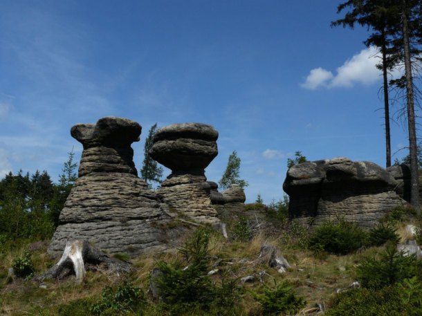 Skalní hřiby