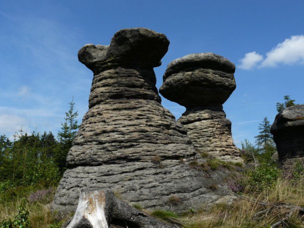 Skalní hřiby