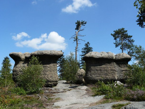 Skalní hřiby