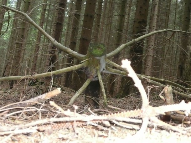 Modrá studánka.