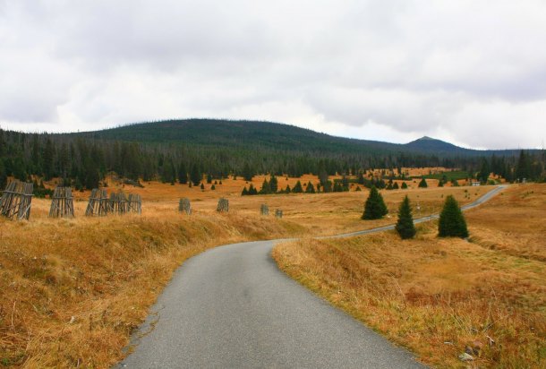 Březník  (německy Pürstling)