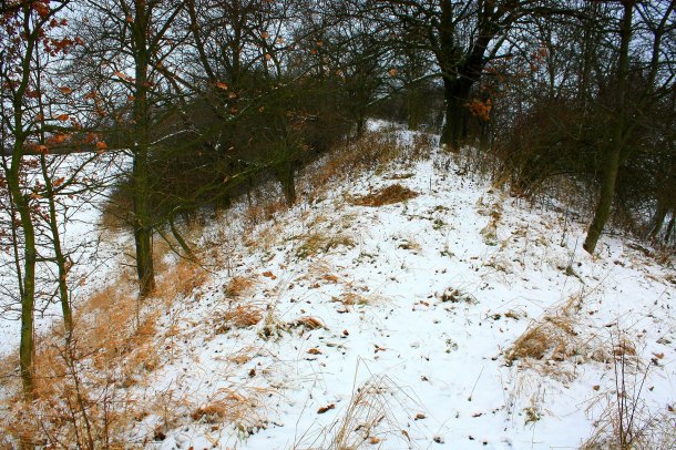 Hradiště Šance (Královice)