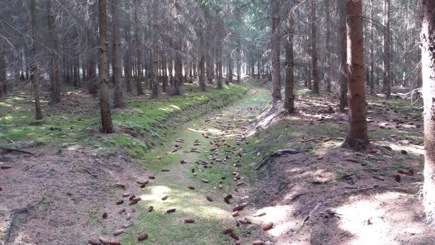 Magické cesty a cestičky