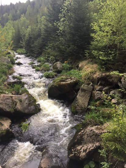 Klostermannova chata a okolí